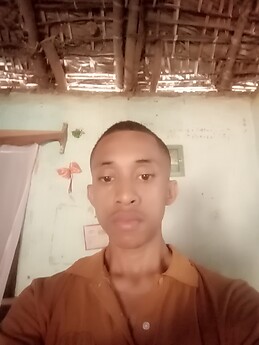 Davio  