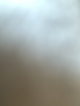 Paula González Fernández