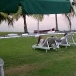 Roselene Ofori-Mensah