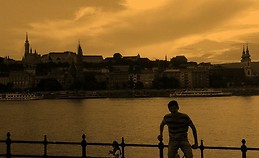 Nicolas Yañez Miranda