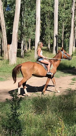 maria florencia guenzani