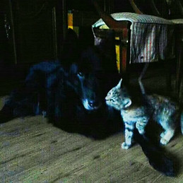 marien labiod becerro