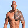 The Rock