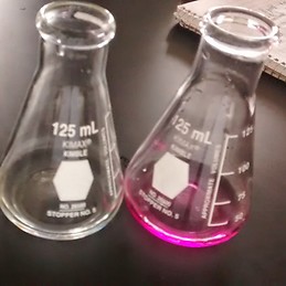 Maria SANCHEZ MONROY