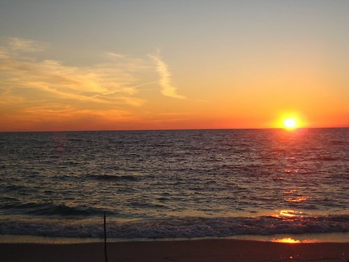 maria saldaña coscollar