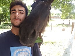 Alejandro Trejo Guerra