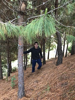 Brian Silva Santisteban Gálvez