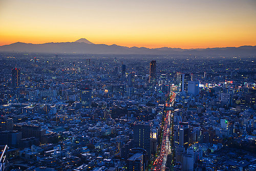 Leticia Lucena Pumar