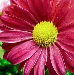 Malen Abelleira Gaston