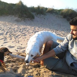 Andres Garcia Noriega