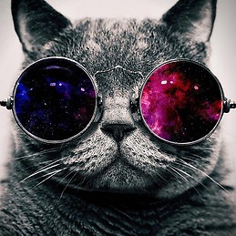 Guilherme António Ascensão