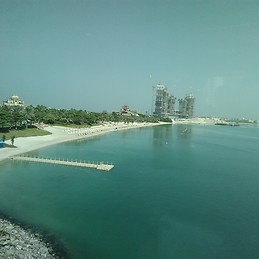 Mojtaba Zeinaldini Riseh