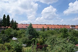 Aleksandra Mieszczynska