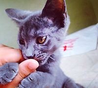 Aranzazu Muñumer Cisneros