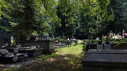 Tomas Garcia de Miguel