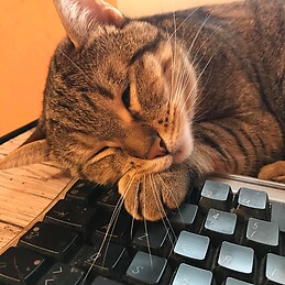 Marjolaine J-peyrani