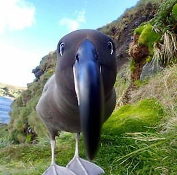Natassia Bacco Mannina