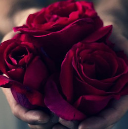 Lucia Del Cerro Llamas