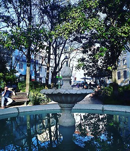 Soraya Perez Rodrigez