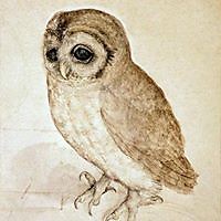 Katerina Kostadinova