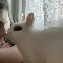 María García Doncel