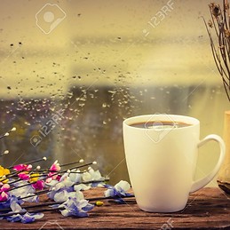 LILIANA SANZ RAMIREZ