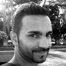 Carlos Lessa