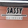 Sassy Hairclub