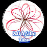abebe mulugeta