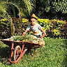mario ernesto correa correa