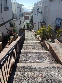 Mari Carmen Fernandez