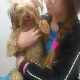 Maria Francesca Cerminara