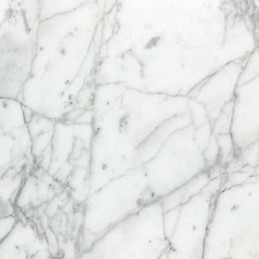 Pilar Rodríguez Aparicio