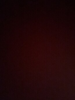 Adriana Garcia Lopez