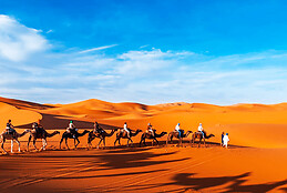 Morocco Tours