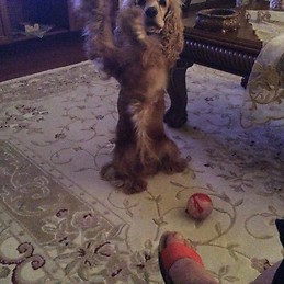 Güler Erkan Güneş