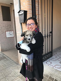 Inmaculada Plaza Gómez