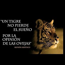 Julio Arrieche Morales