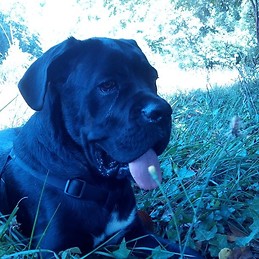 Inês Carvalho Moreira