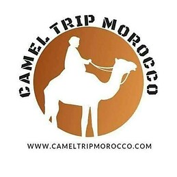 Camel Trip
