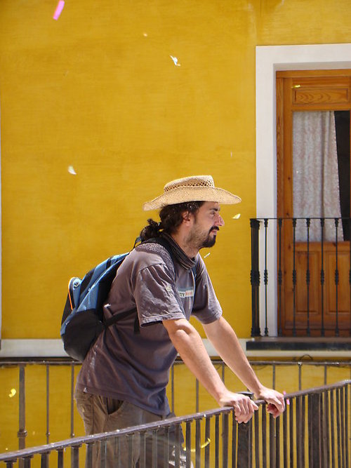 toni bottaro