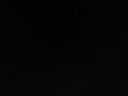 Faatimah Goolamgawhos