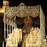 Javier Rodriguez Castillo