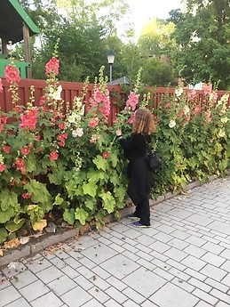 Линнеа Мартинсон