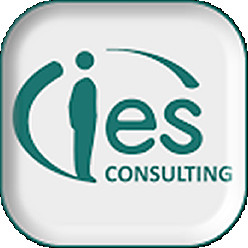 IES Consulting