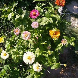 laboratorio matematica