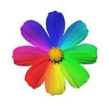 Ichinkhorloo Munkhtulga