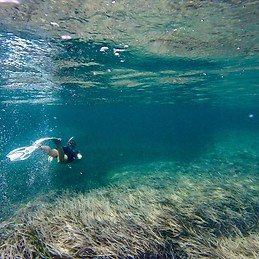 Àngela Olvera Pascual