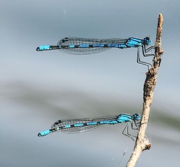 Exceptionnellement Nous