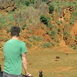 Alejandro Fernandez Garcia